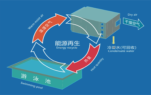 熱泵型除濕機運行示意圖